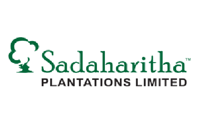 Plantaion